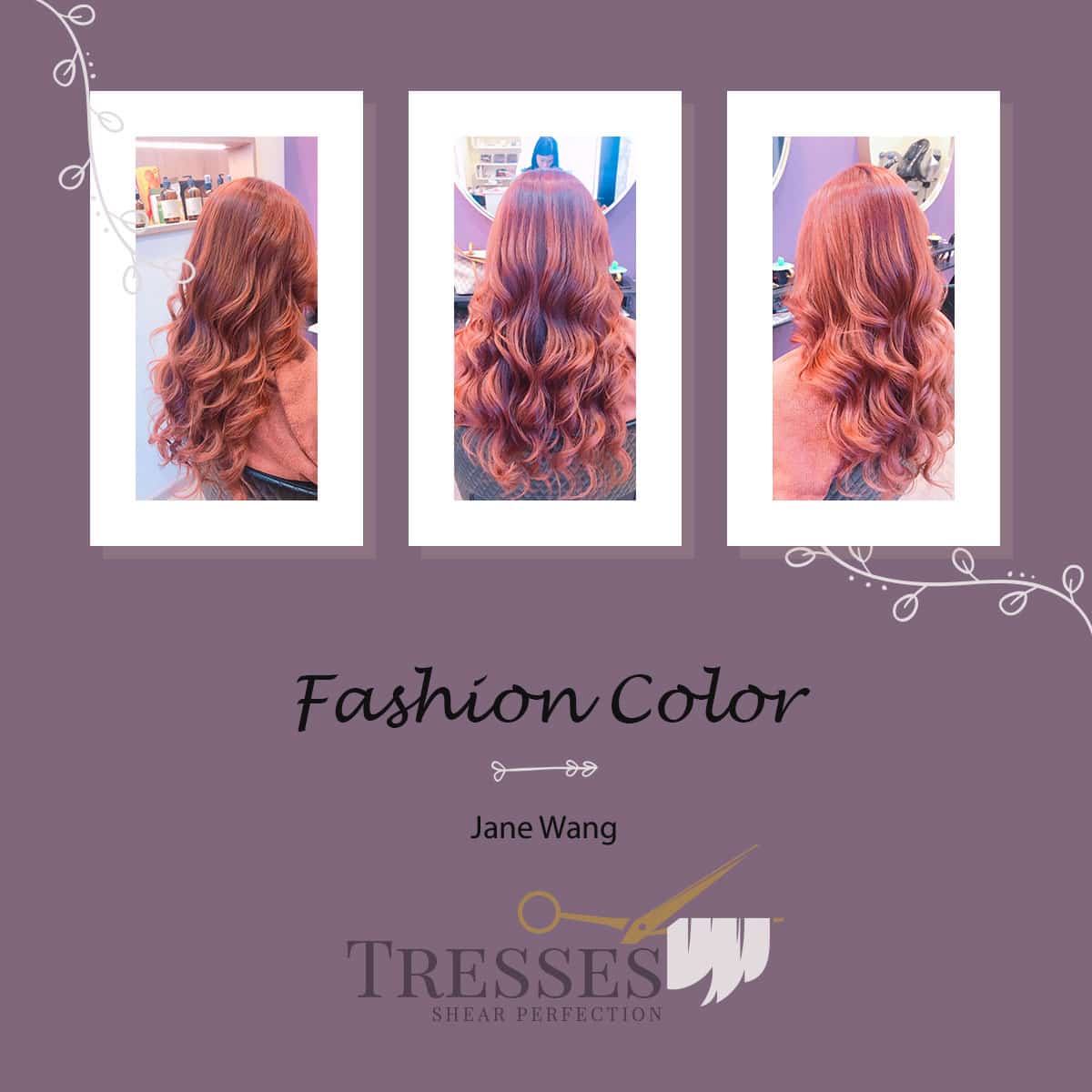 Fashion Color by Jane Wang